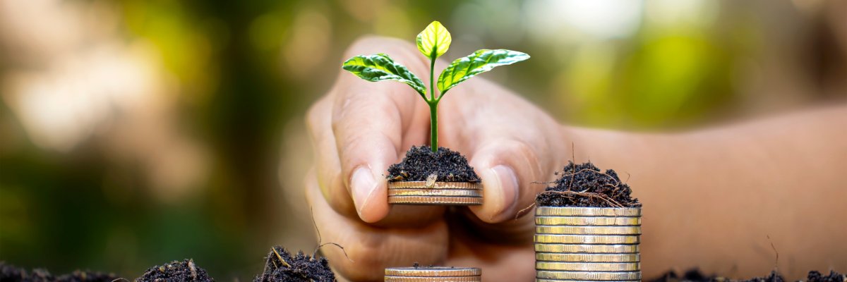 Geld und Pflanze, die wächst