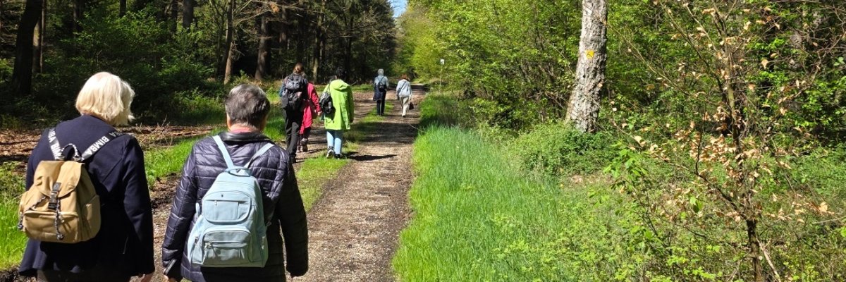 Eine Wandergruppe läuft auf einem Weg im Wald