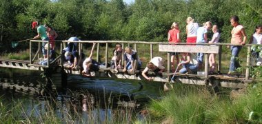 Moorteich im Freilandlabor Grafeld