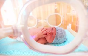 Neugeborenes Baby liegt im Säuglingsinkubator im Krankenhaus und lutscht an den Fingern