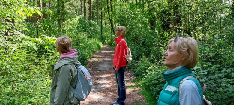 Gruppe im Wald 